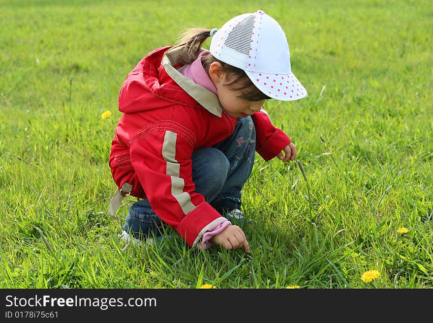 Little girl in red coat tear flower dandelion