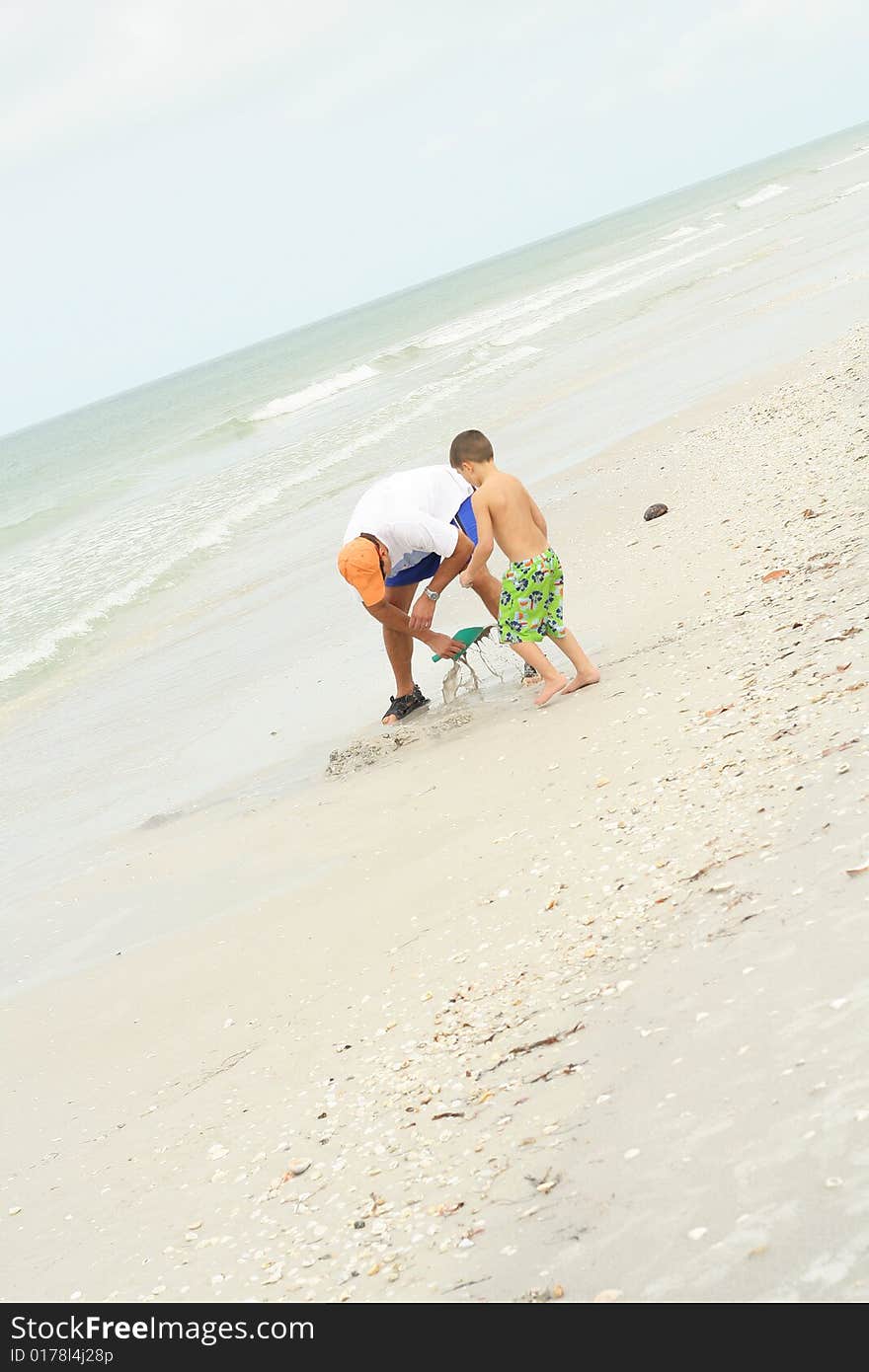 Father & son looking for shells