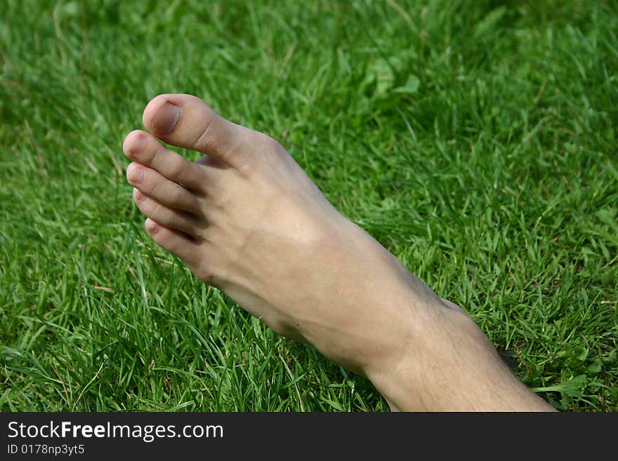 A foot in green meadow