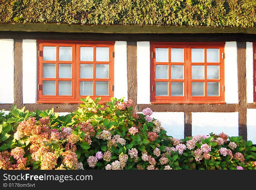 The old house in village among flowers. The old house in village among flowers