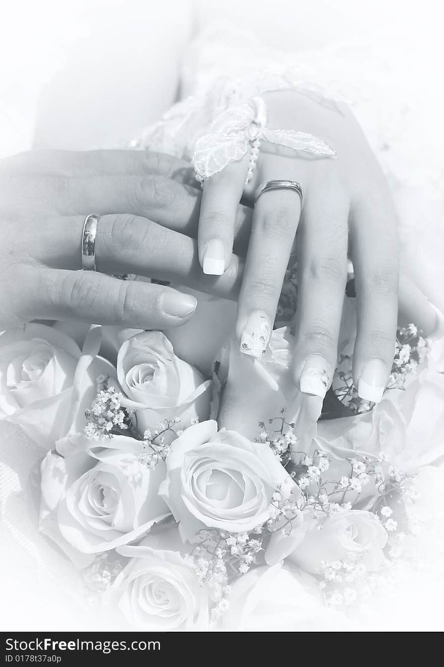 Hands of bride and groom with rings