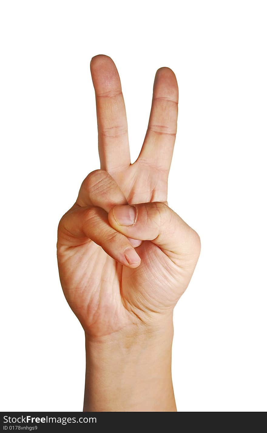 Victory hand gesture, is isolated on a white background. Victory hand gesture, is isolated on a white background