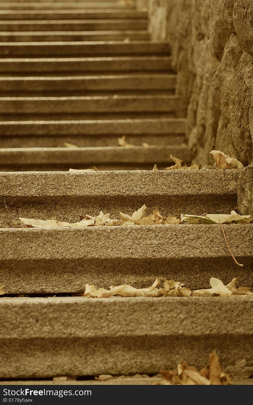 Stair with leaves