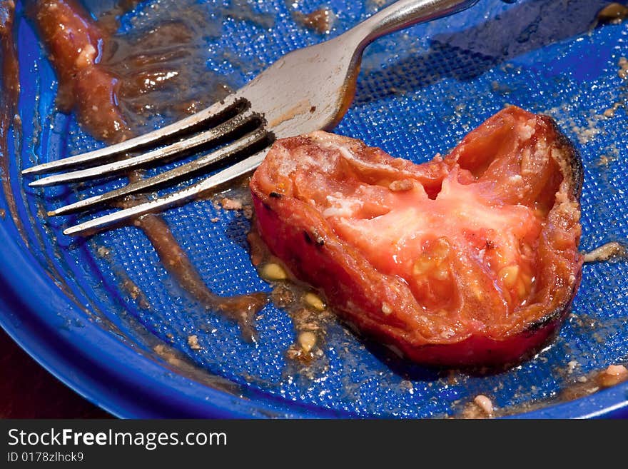 Almost eaten dish. Only slice of fried tomato has left. Very detailed shot. Almost eaten dish. Only slice of fried tomato has left. Very detailed shot.