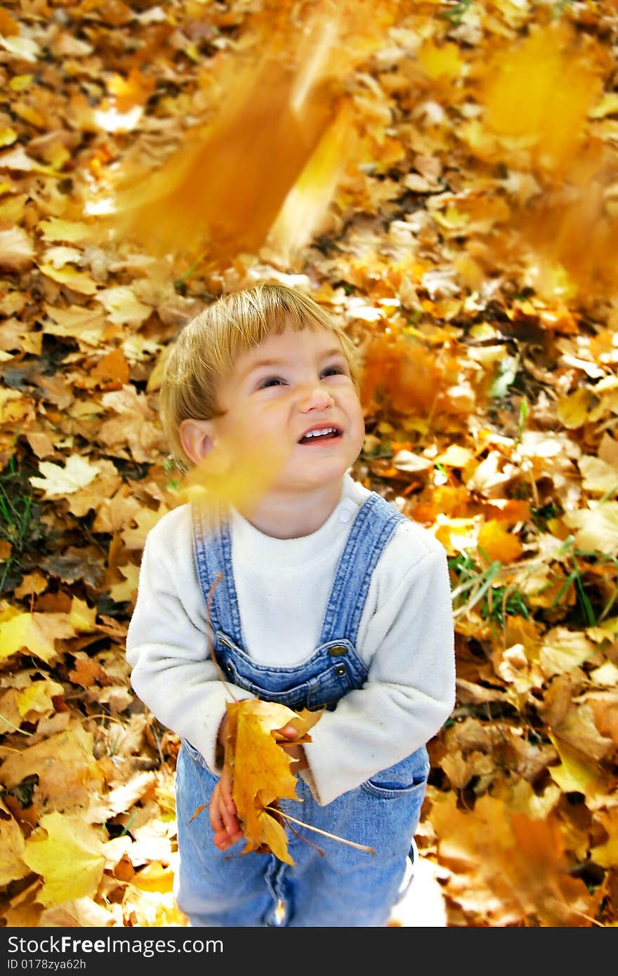 Young boy with autumn leaves