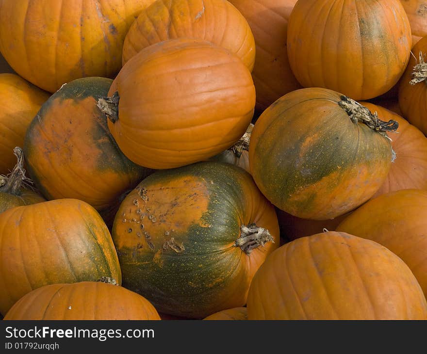 Close-up of harvested orange pumpkins. Close-up of harvested orange pumpkins