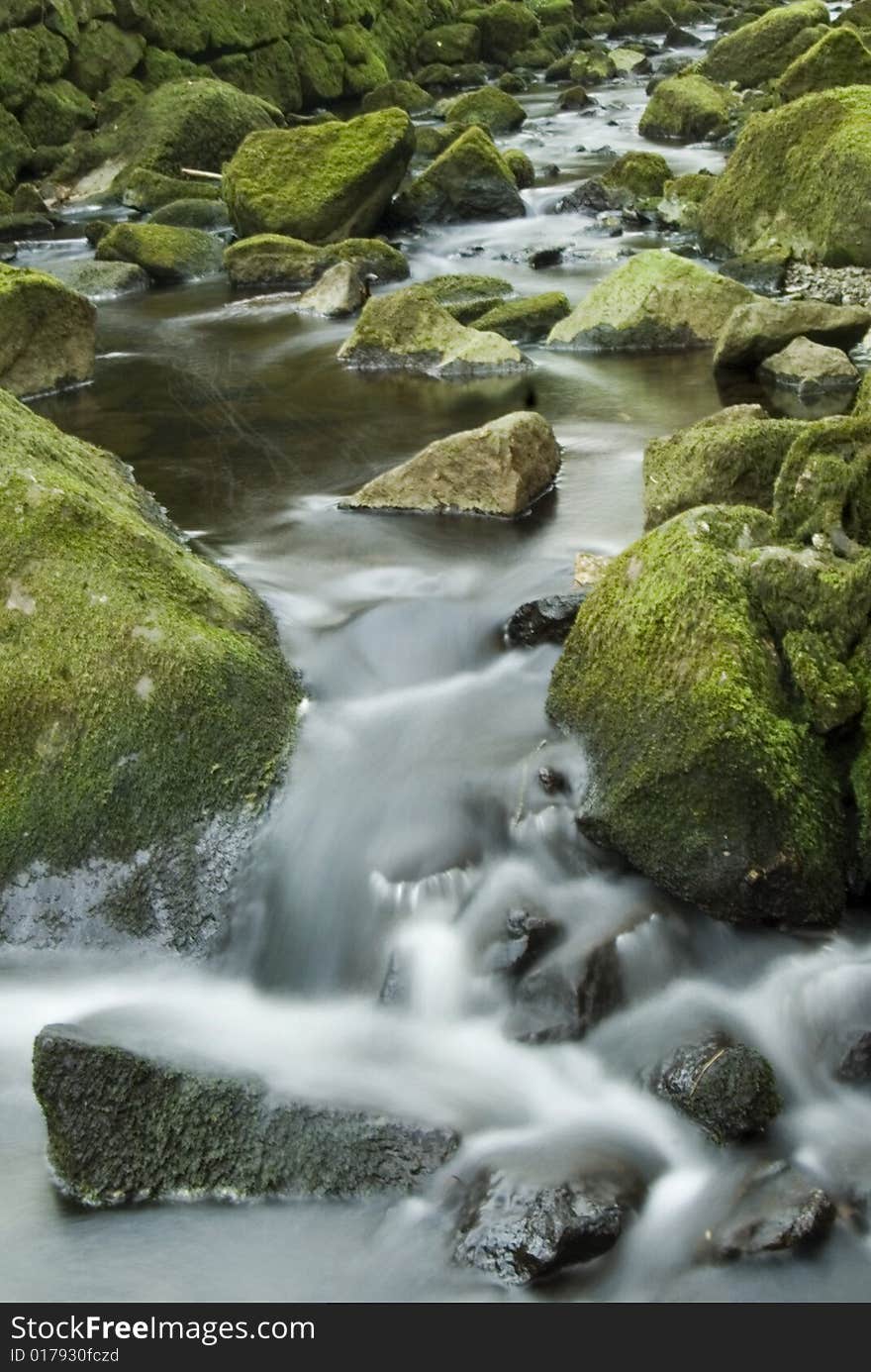 Streams through dartmoor national park. Streams through dartmoor national park