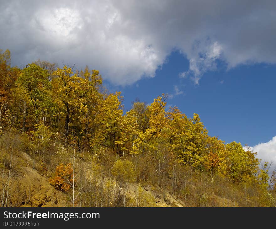 An autumn landscape with a wood on breakage