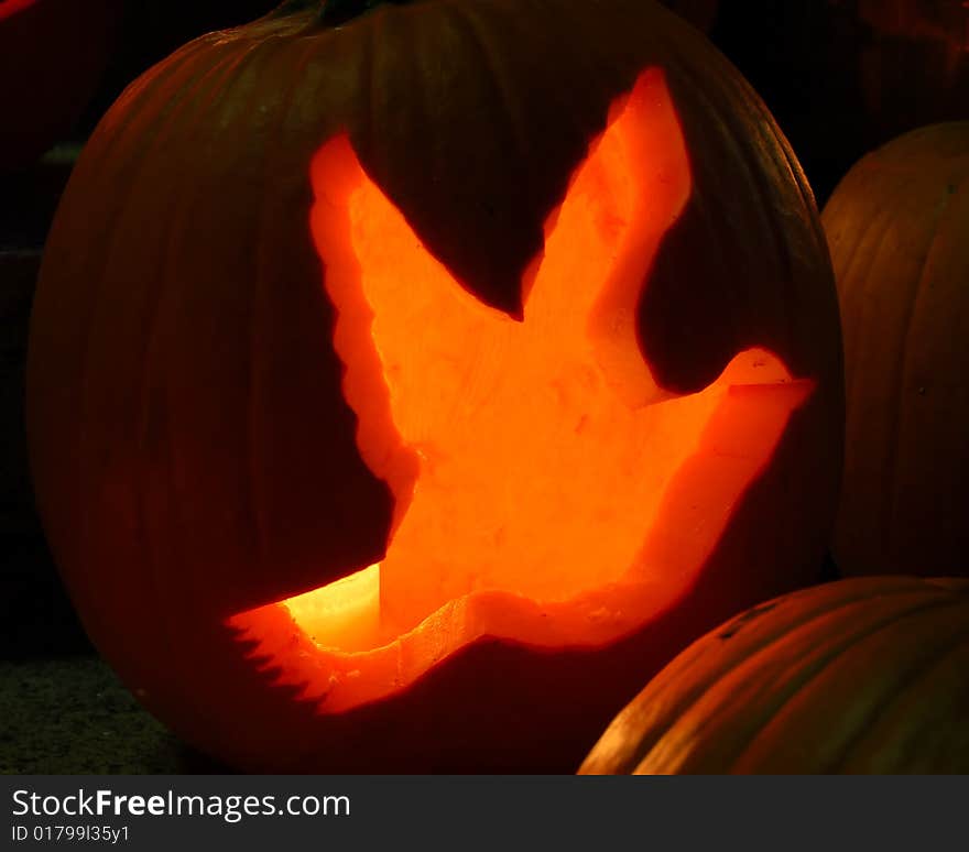 Carved Lighted Pumpkins