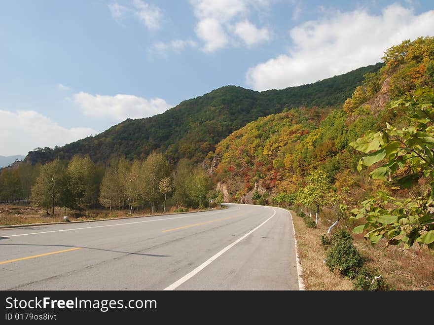 Good Color of Leaves at Autumn in North of China. Good Color of Leaves at Autumn in North of China