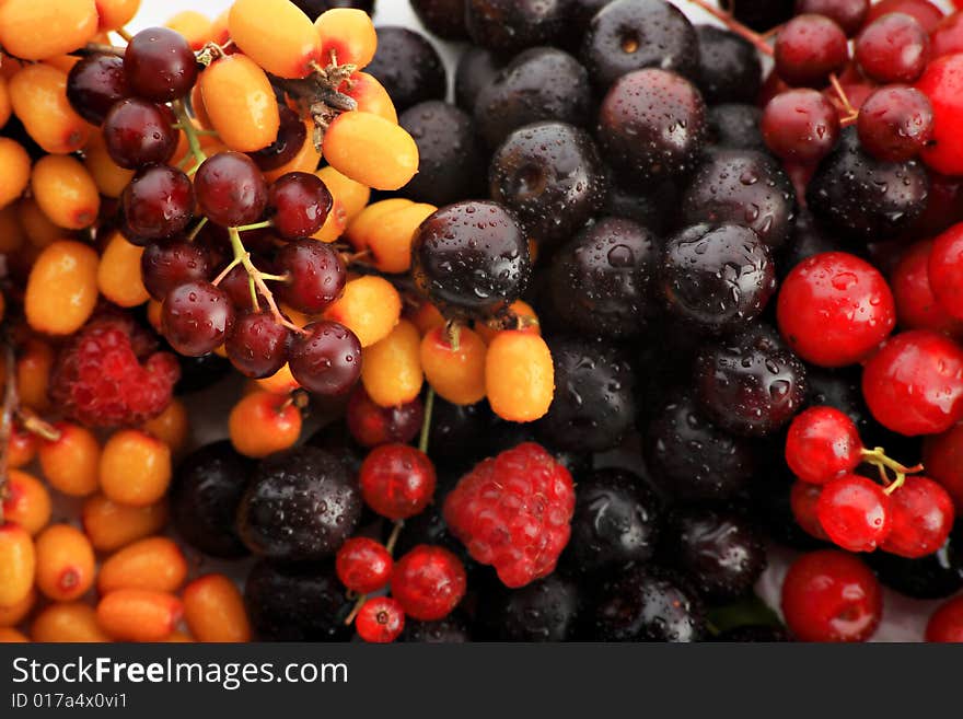 Fresh Vegetables, Fruits and other foodstuffs. Berries. Fresh Vegetables, Fruits and other foodstuffs. Berries