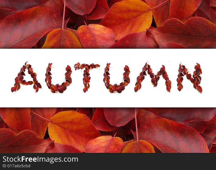 Word AUTUMN from beautiful leaves