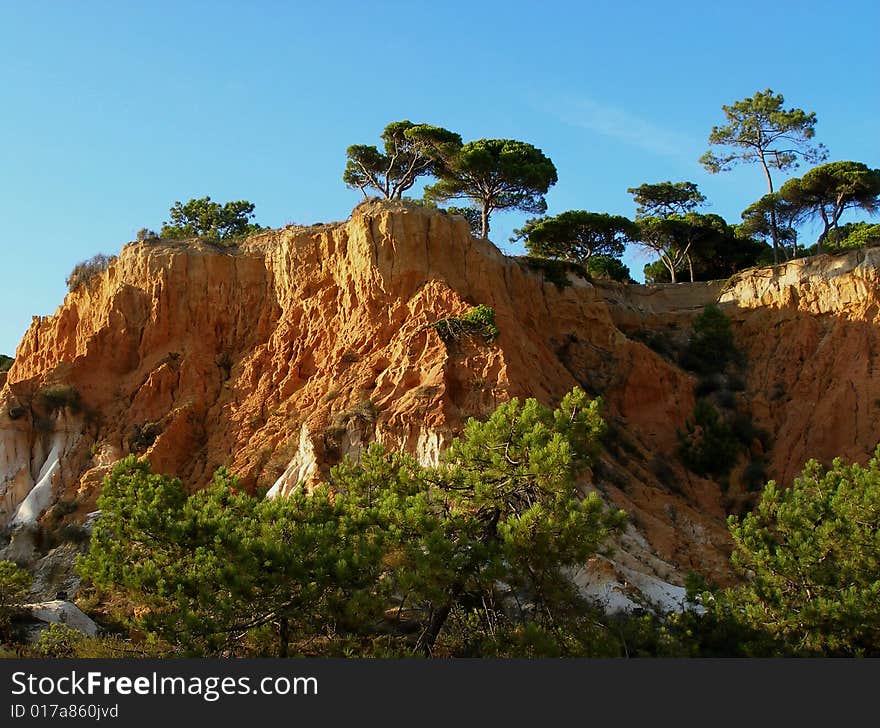 Cliffs and pines 1