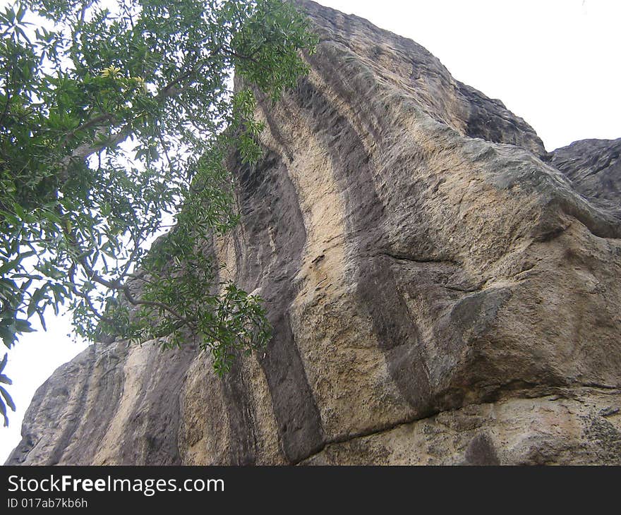 Cobra Rock. this rock is at a ancient budhist temple in sri lanka. this is like a head of a cobra