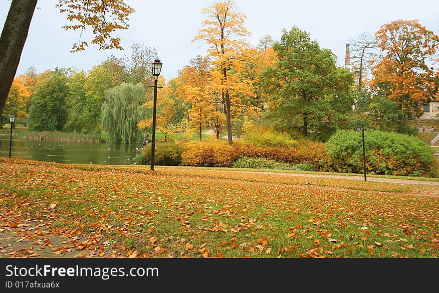 Background with beautiful autumn park. Background with beautiful autumn park