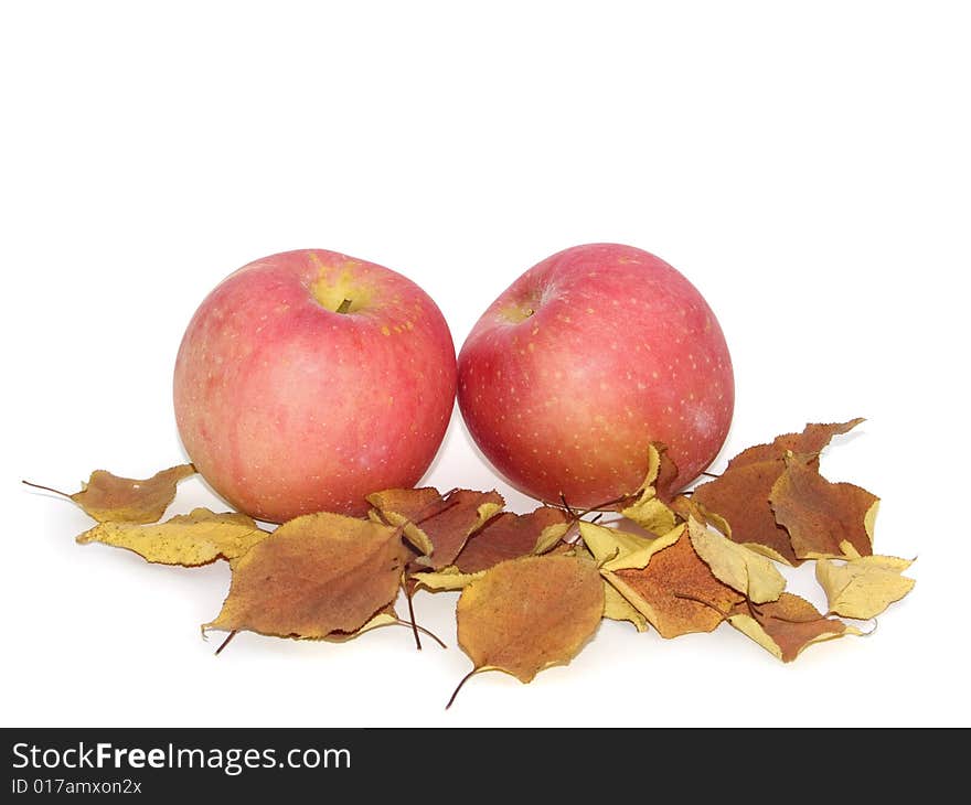 Apples and autumn leaves on a white background