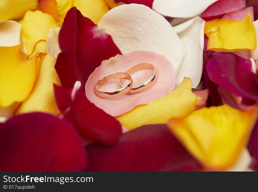 Wedding rings on pink petal of roses.