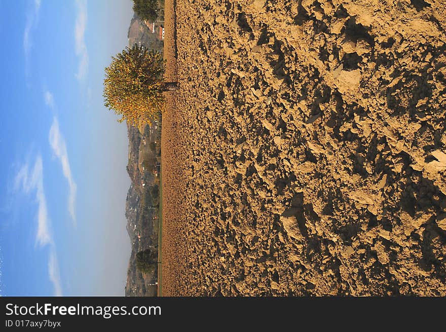 A rural landscape in autumn