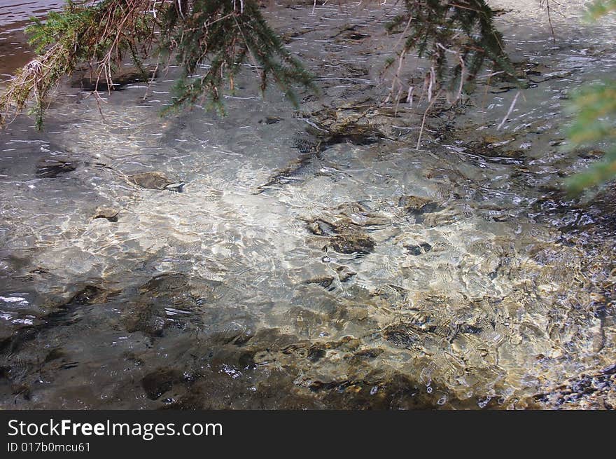 River with clear, see through water