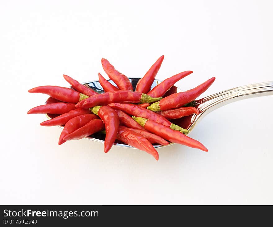 Red chili in the silver spoon on a clear background. Red chili in the silver spoon on a clear background.