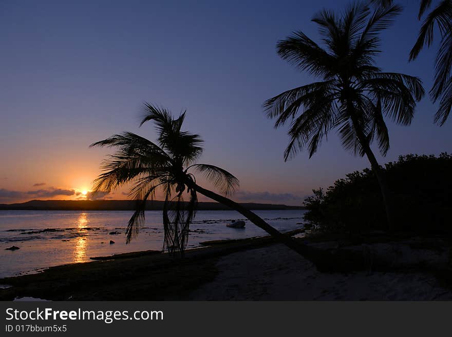 Tropical Sunset