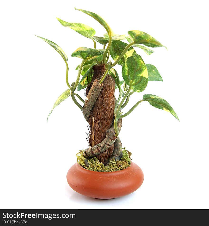 Artificial plant