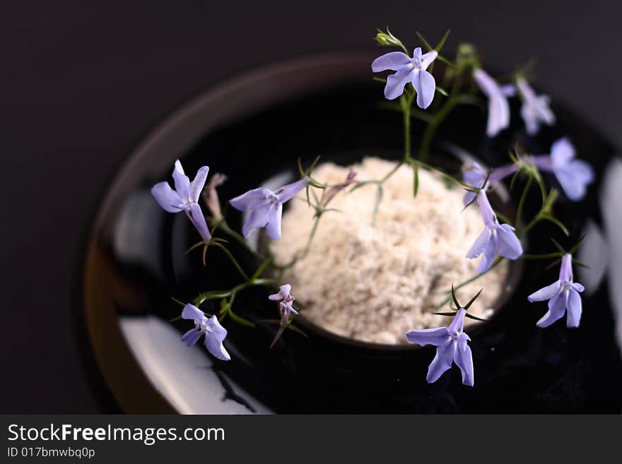 Small blue flower in a black round vase