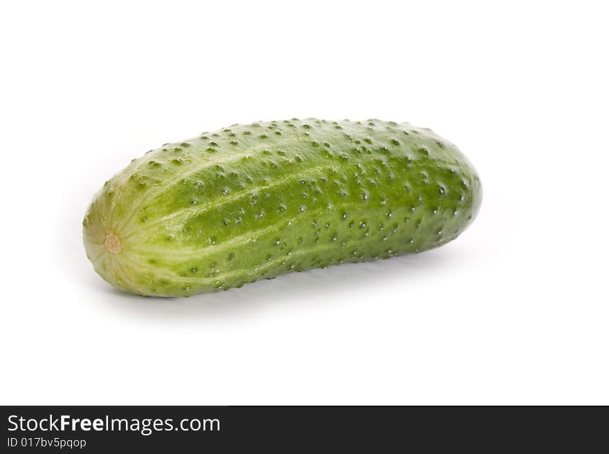 Cucumber