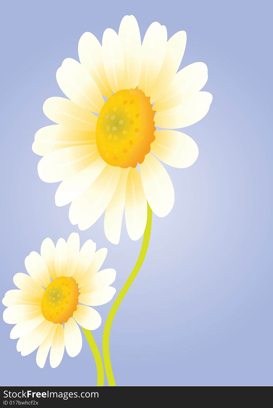 Illustration of yellow sunflower on gradient background. Illustration of yellow sunflower on gradient background