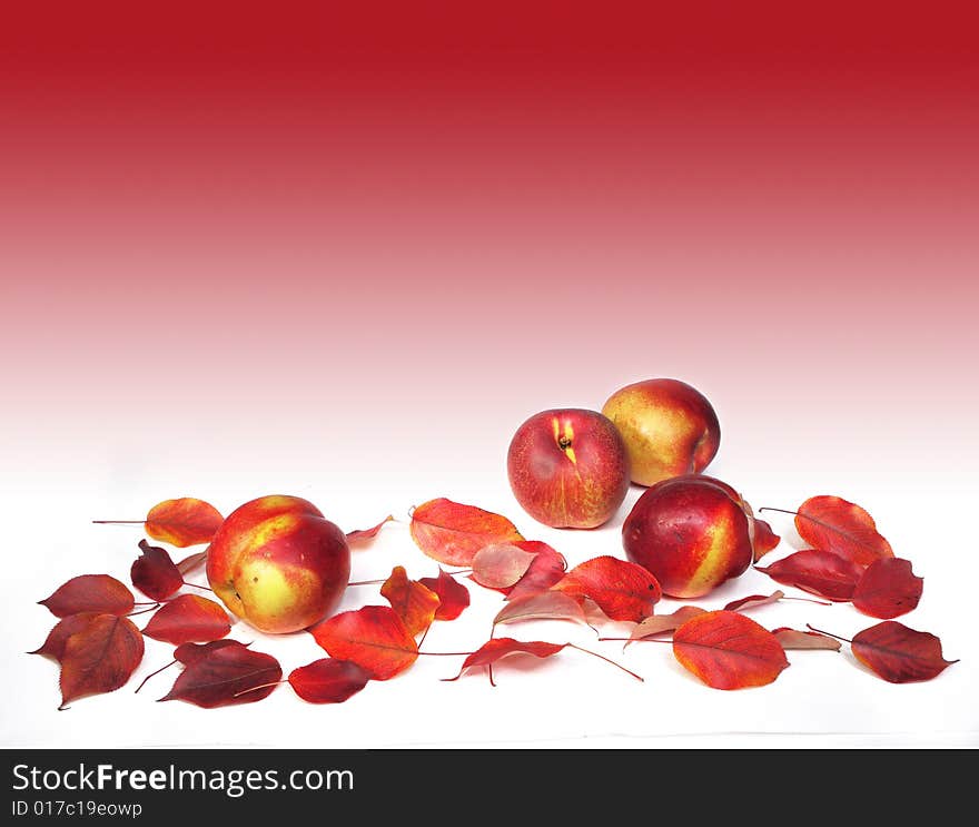 Fruits and red autumn leaves. Fruits and red autumn leaves