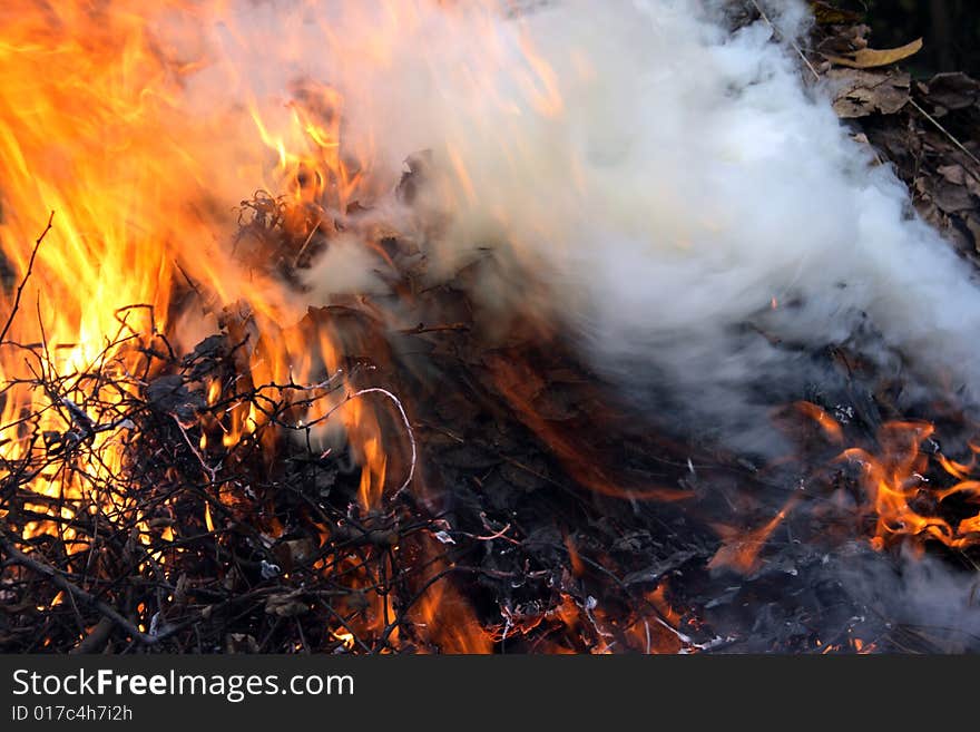 Body of flame stock photo