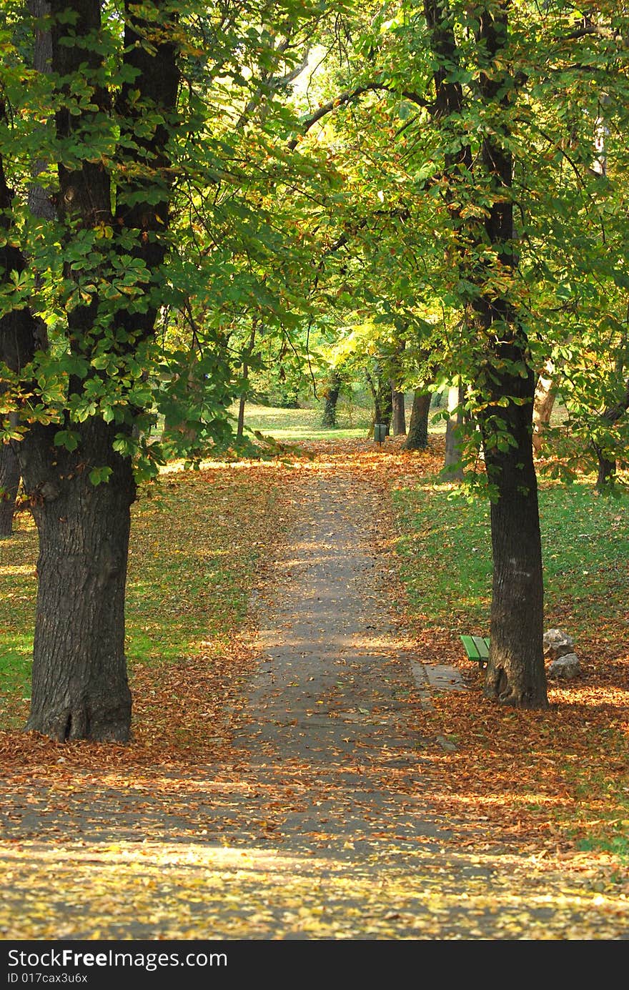 Lonely alley in the park. Lonely alley in the park