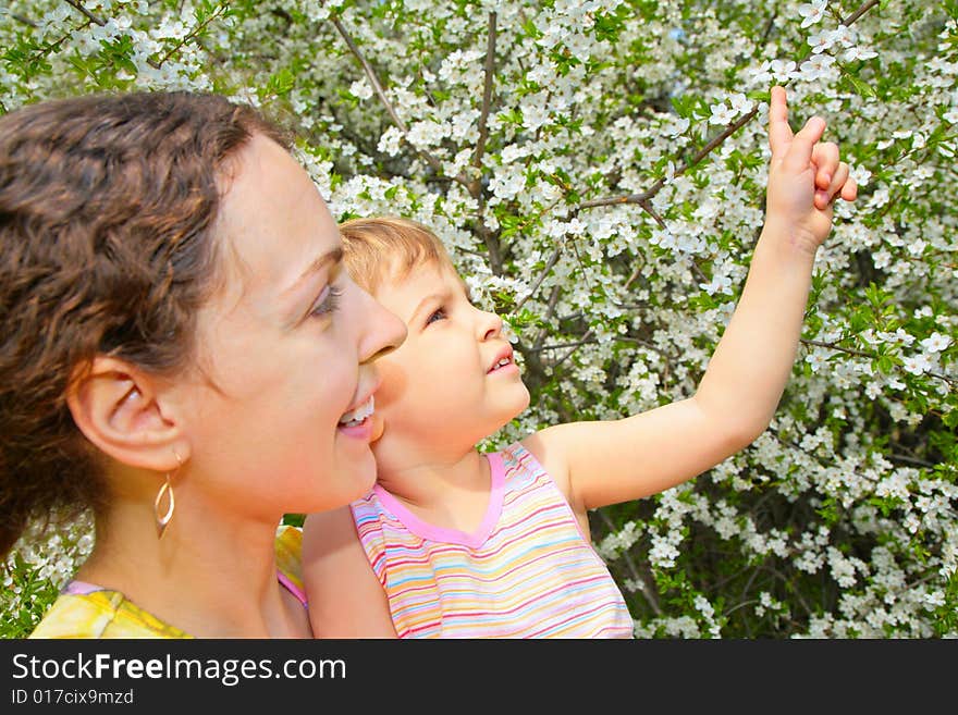 Mother And Daughter Look On Blossom Cherry