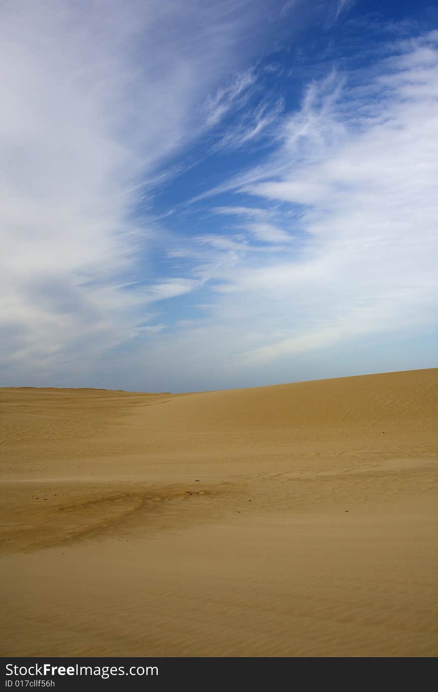 Sahara? Not really, this is Jockey's Ridge state park, Outer Banks, NC, USA. Sahara? Not really, this is Jockey's Ridge state park, Outer Banks, NC, USA.