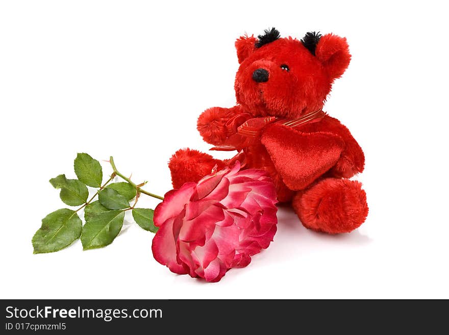 Red teddy bear