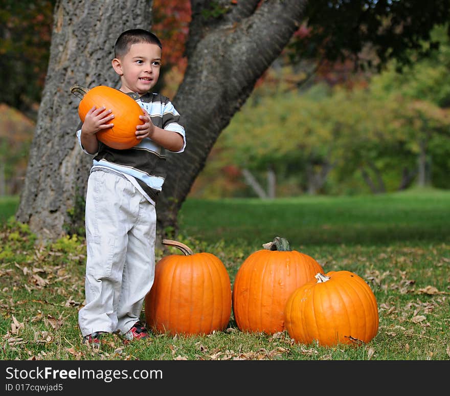 Preschool boy confidently holding a small pumpkin he's chosen for Halloween.  Shallow DOF with focus on boy's eyes. Preschool boy confidently holding a small pumpkin he's chosen for Halloween.  Shallow DOF with focus on boy's eyes.