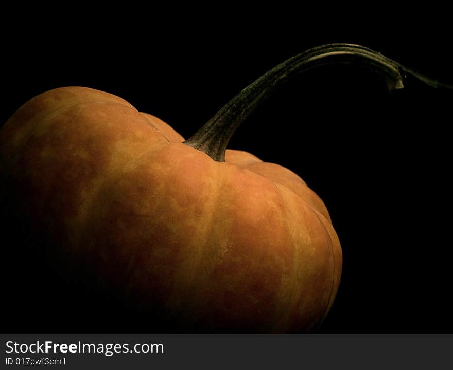 Squash in shadow with black background