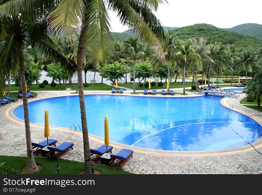 Outdoor swimming pool with coconut palms around, and rest bed on the bank.