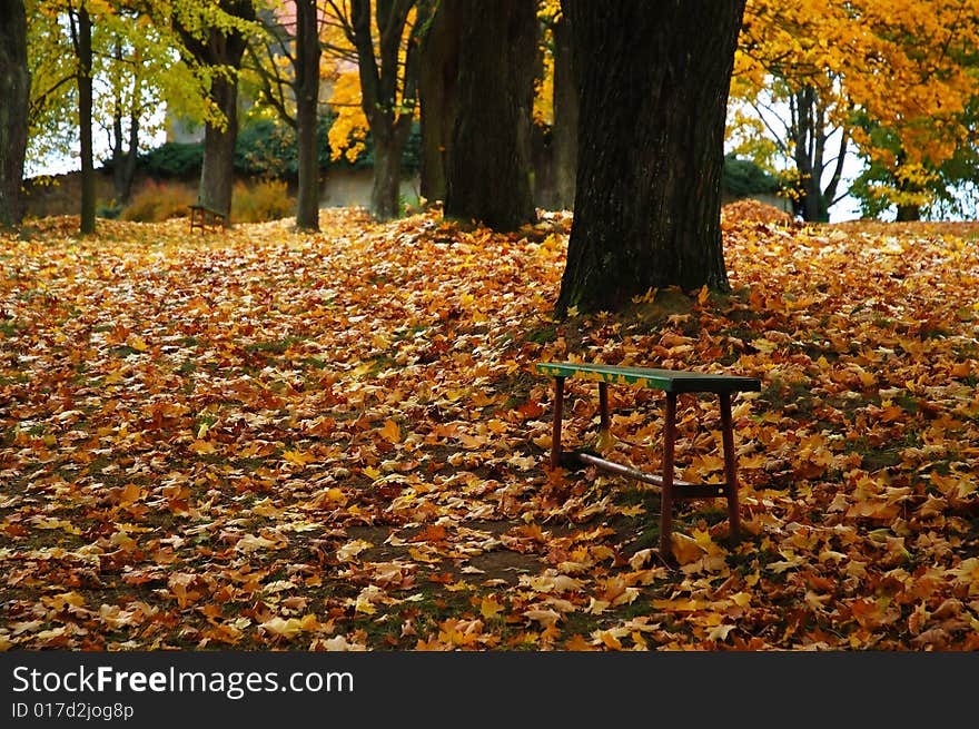 Alley with seat in autumn. Alley with seat in autumn