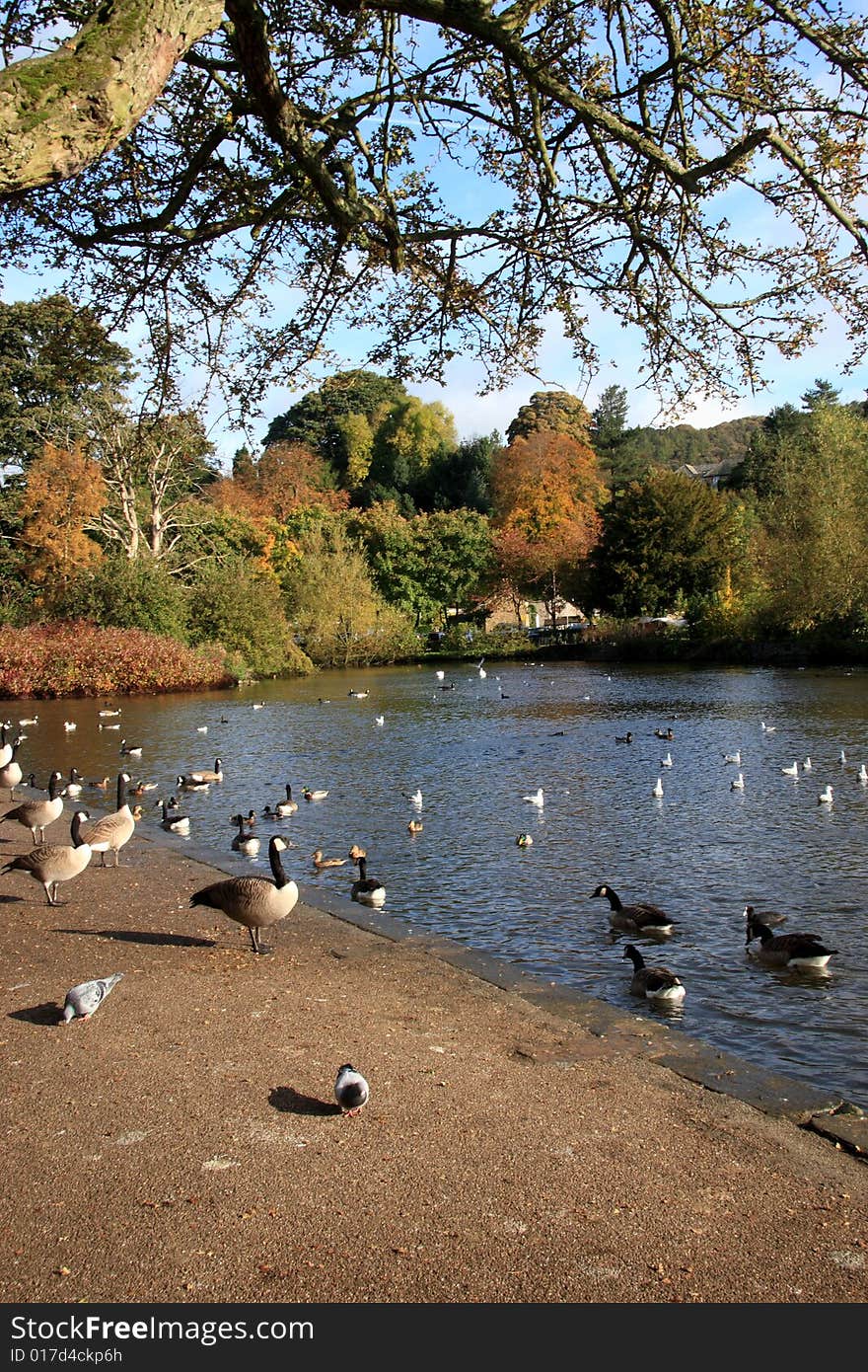 River Wye Bakewell Darbyshire