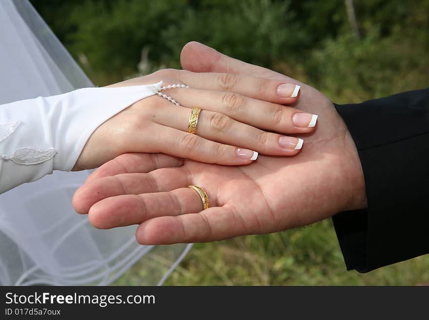 Two palms together. It is man's and female palms. 
There are wedding rings on their fingers.