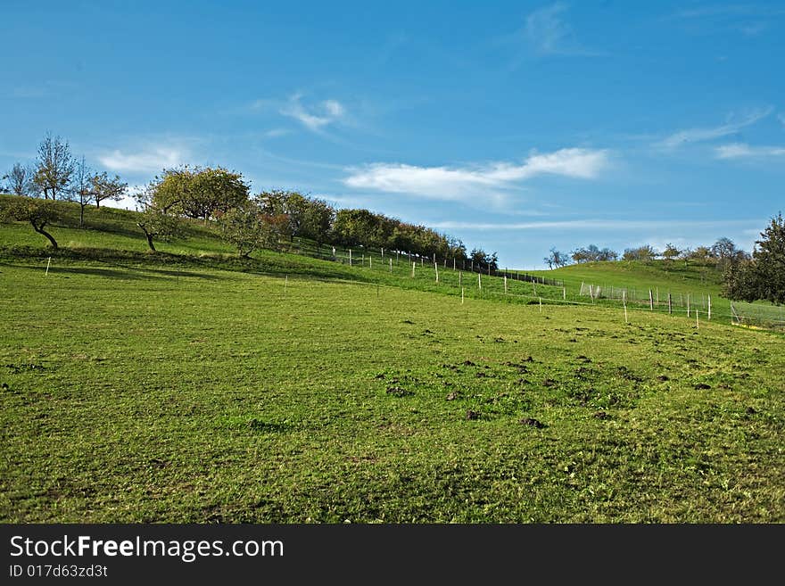 Green field white clouds on a sonny day