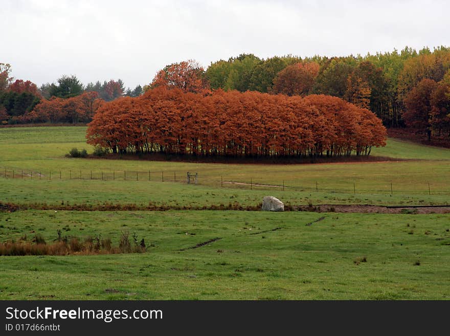 Farm pasture with fall colors, October of '08