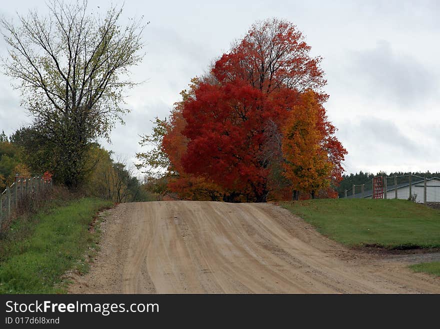 A gravel road in rural farm country. A gravel road in rural farm country