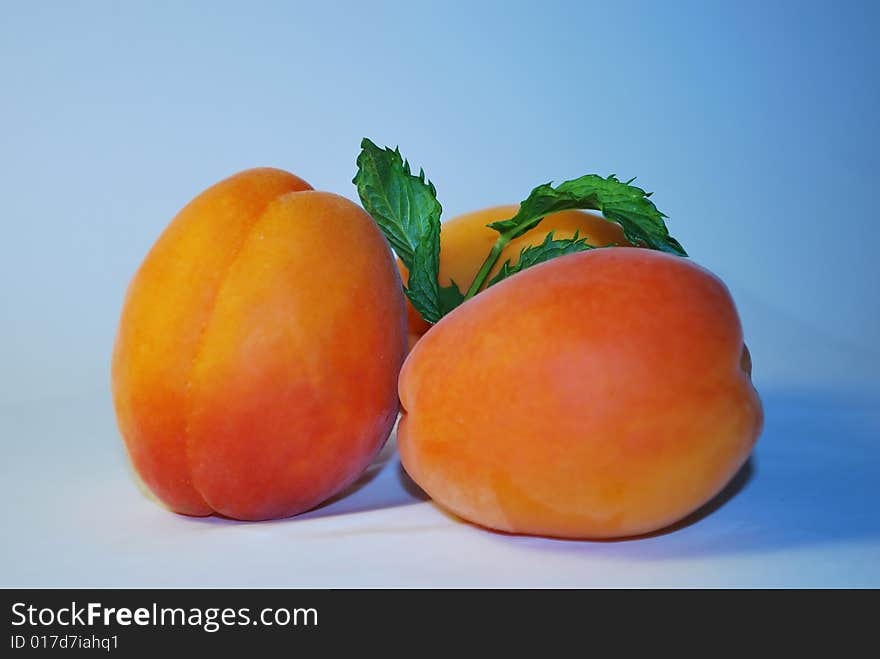 Fresh apricots with paper mint leafs are on the blue background.