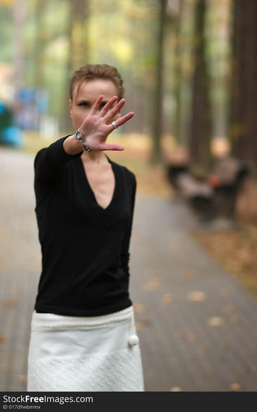 Nice girl at the autumn park. Nice girl at the autumn park