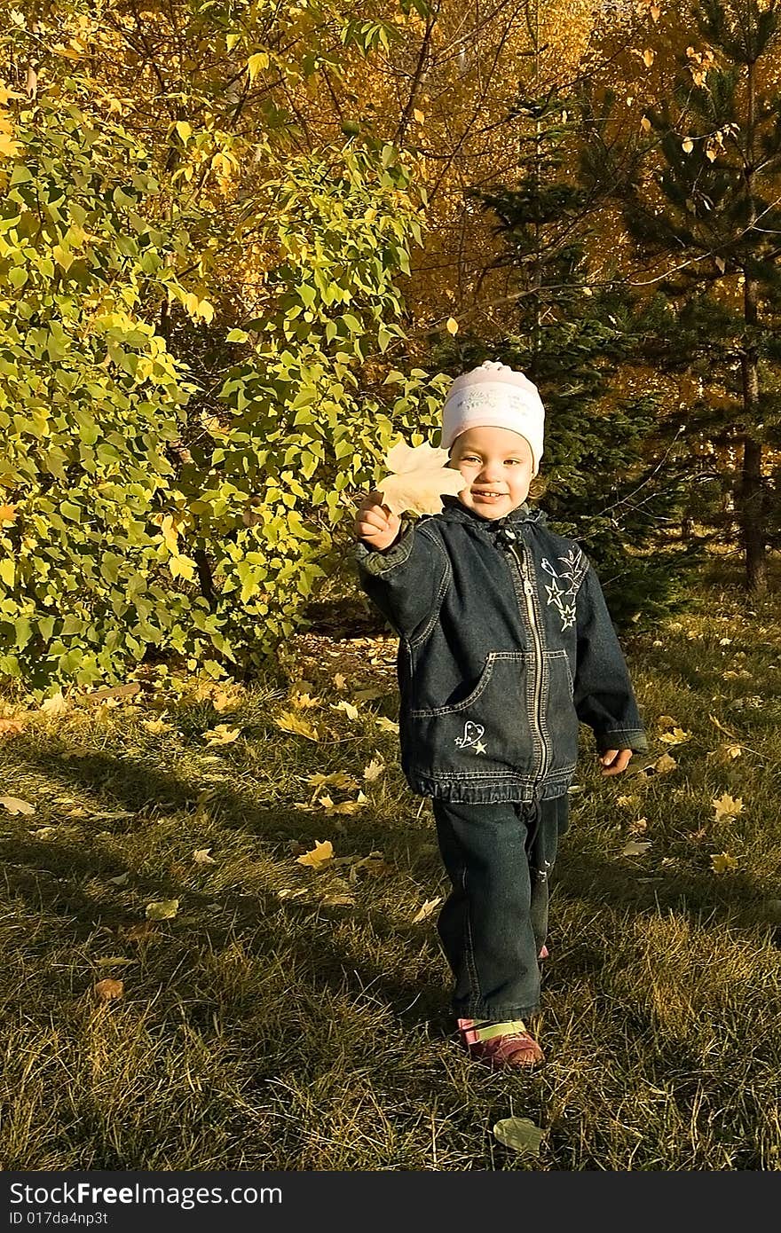 Autumn. Evening. A child goes for a walk in a park. Autumn. Evening. A child goes for a walk in a park.