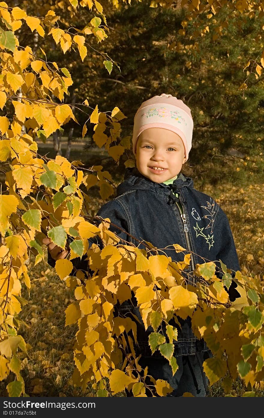 Autumn. Evening. A child goes for a walk in a park. Autumn. Evening. A child goes for a walk in a park.