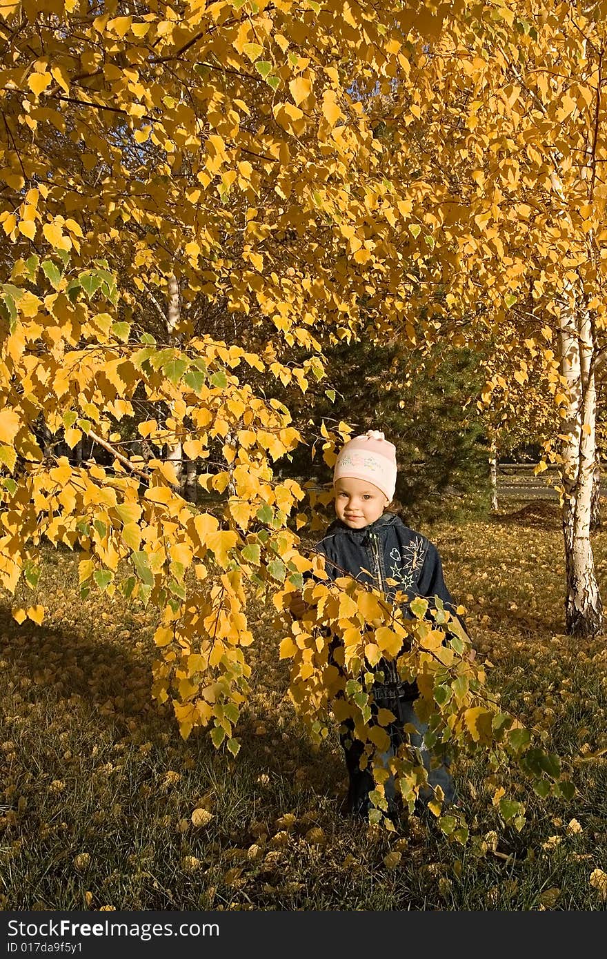 Autumn. Evening. A child goes for a walk in a park. Autumn. Evening. A child goes for a walk in a park.