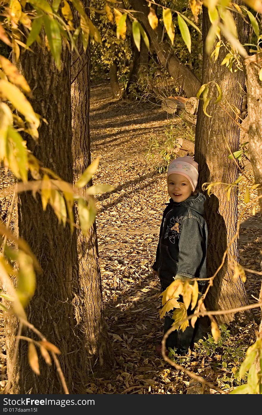 Autumn. Evening. A child goes for a walk in a park. Autumn. Evening. A child goes for a walk in a park.